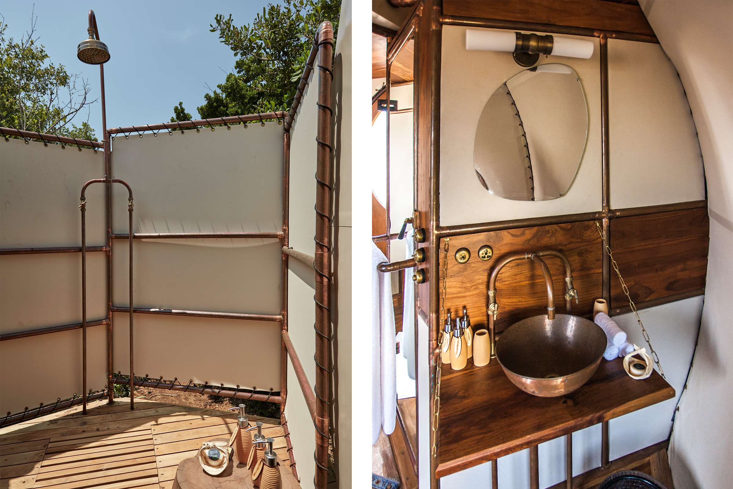 Urchin Pods, Sri Lanka