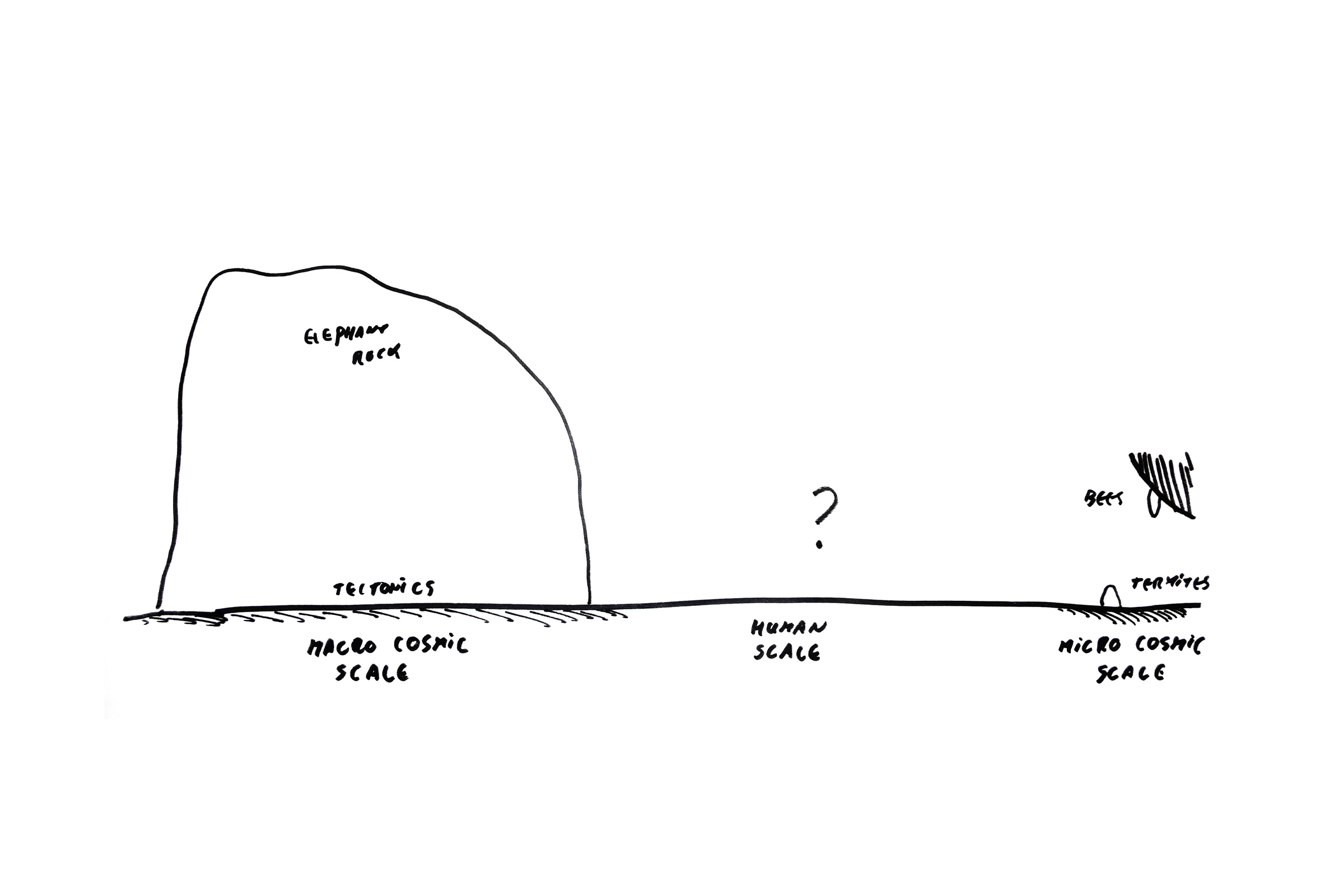 Wild Coast Tented Lodge, Sri Lanka