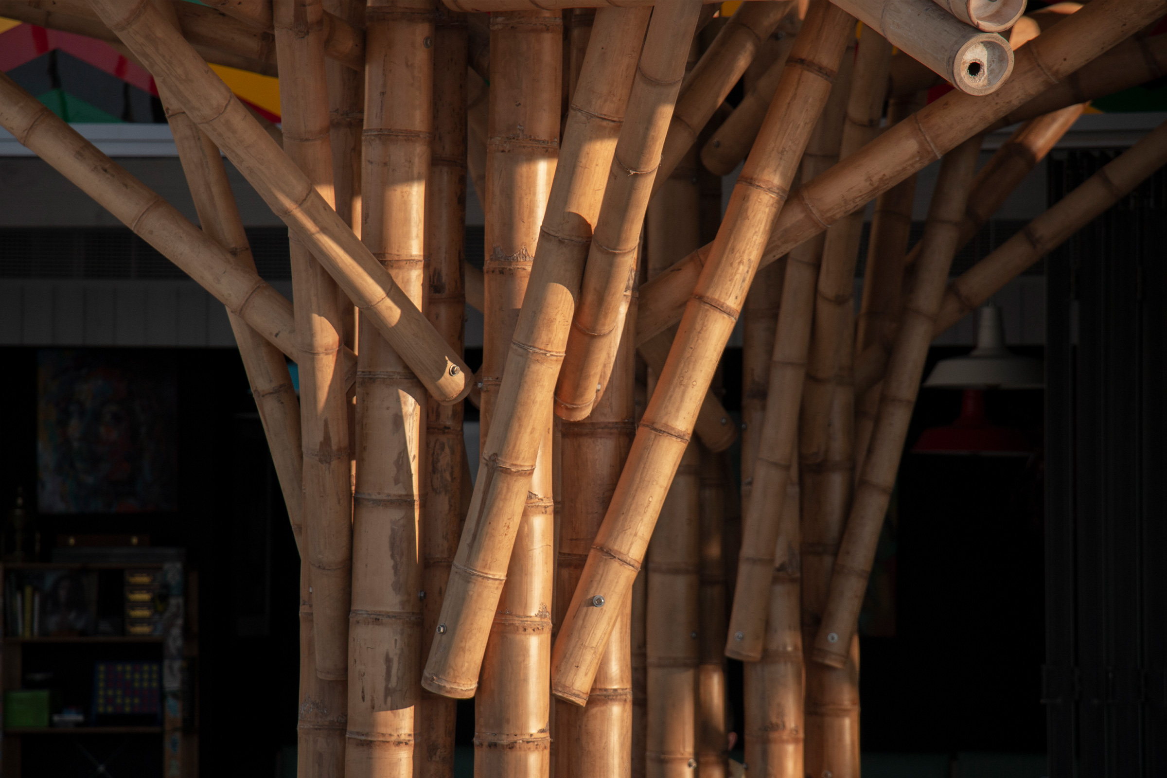 Ting Irie, Abu Dhabi