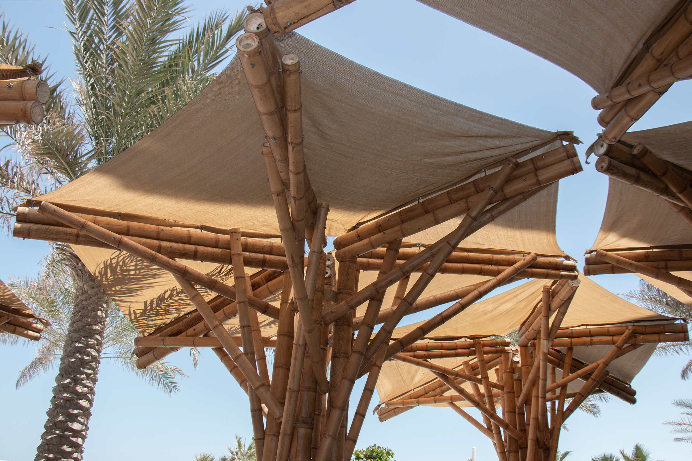 Ting Irie, Abu Dhabi