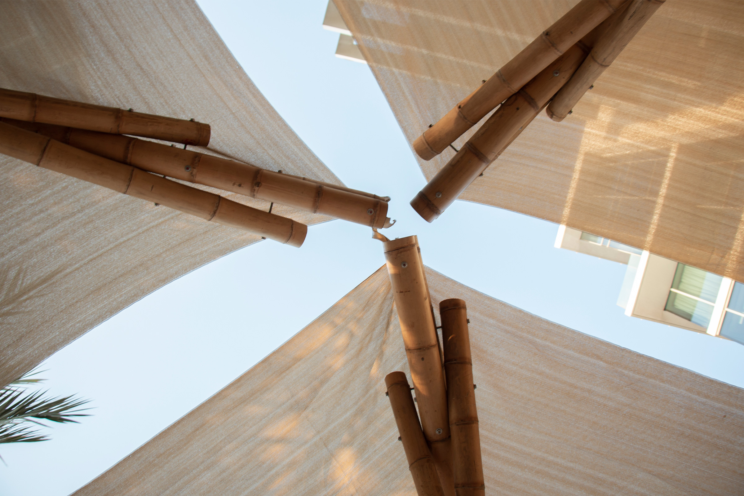 Ting Irie, Abu Dhabi