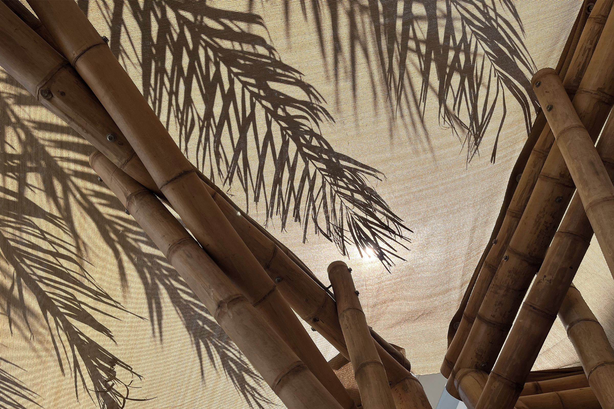 Ting Irie, Abu Dhabi