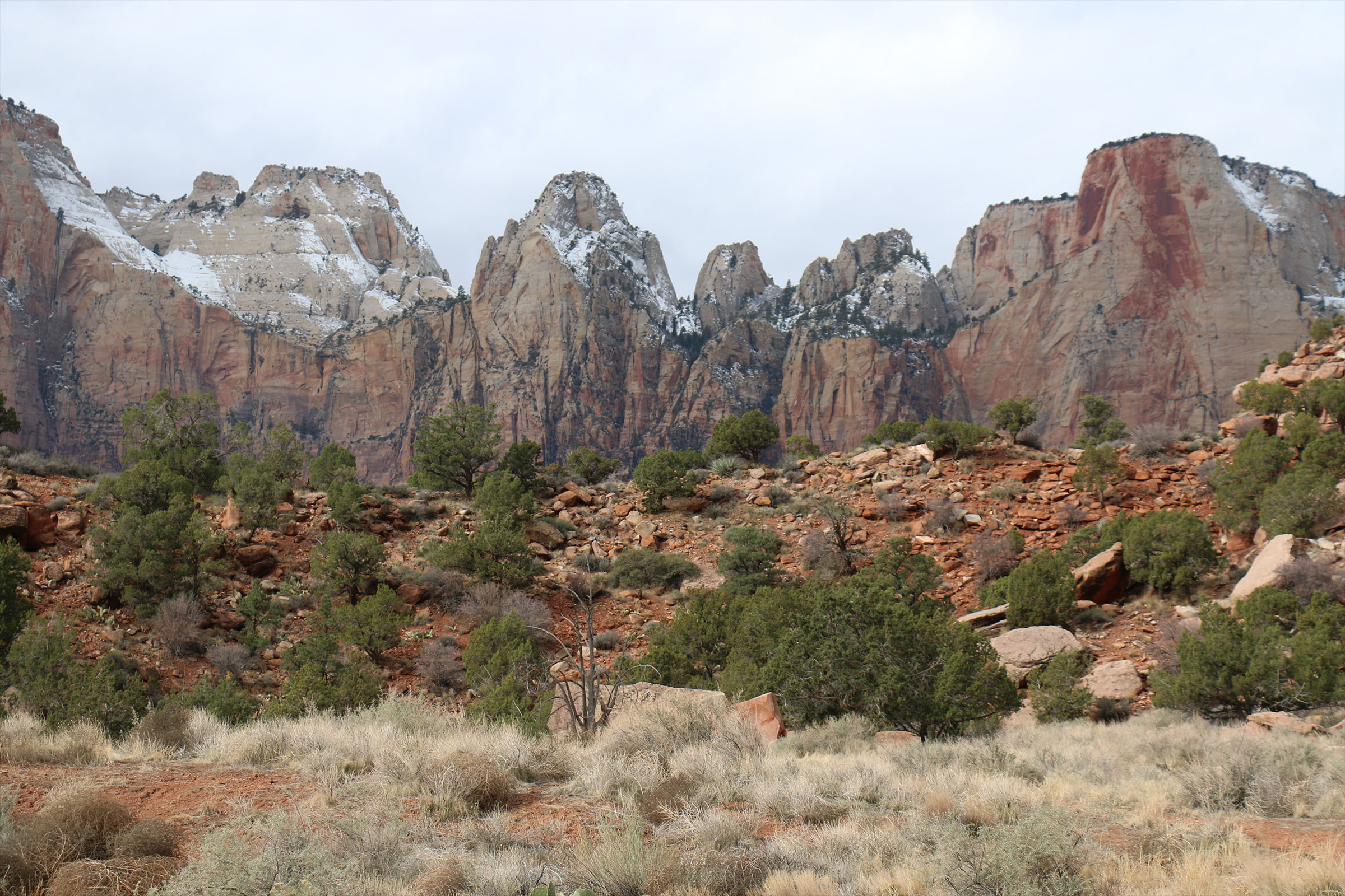 Advisory and Consultancy